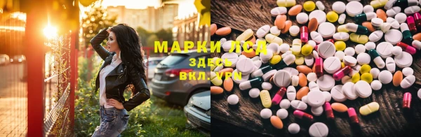прущие грибы Суоярви