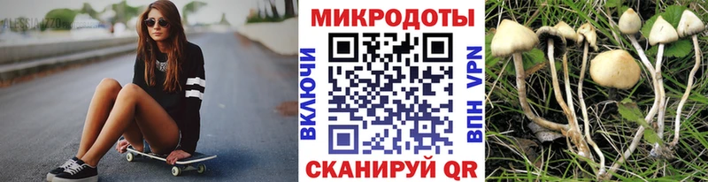 где купить наркоту Суздаль Псилоцибиновые грибы GOLDEN TEACHER